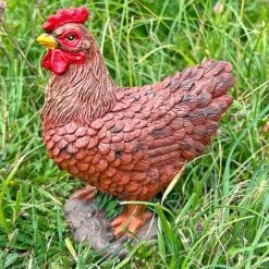 Pair Of Garden Chicken Ornaments -Plants Sale FW1006 12