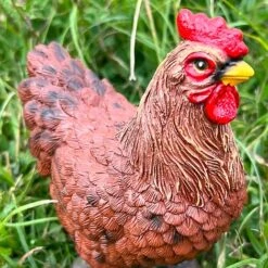 Pair Of Garden Chicken Ornaments -Plants Sale FW1006 8