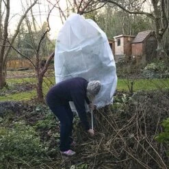 Ultimate Protection 50GSM Frost Fleece Plant Jacket - 1.6m Wide X 2m High 10 Ultimate Protection 50GSM Frost Fleece Plant Jacket - 1.6m Wide X 2m High -Plants Sale Fleece20Cover201000x100020858kb2