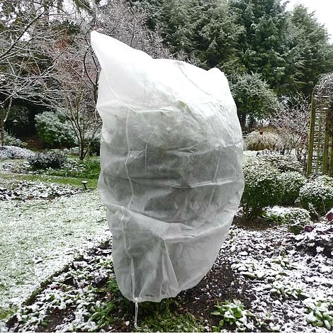 Ultimate Protection 50GSM Frost Fleece Plant Jacket - 1.6m Wide X 2m High 7 Ultimate Protection 50GSM Frost Fleece Plant Jacket - 1.6m Wide X 2m High - Image 5