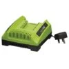 Series X2 40 Volt Battery Charger -Plants Sale G0666 1000x1000 1