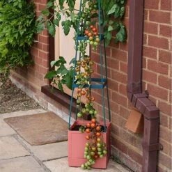 Garden Grow Self Watering Tomato Tower -Plants Sale G2202