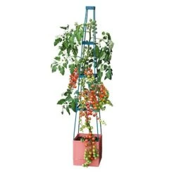 Garden Grow Self Watering Tomato Tower -Plants Sale G2202 4 Tier Self Watering Tomato Tower CO with toms 2000x2000 1