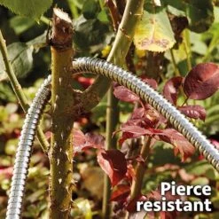 Easy Hose Stainless-steel Hose -Plants Sale G2235207202000x2000