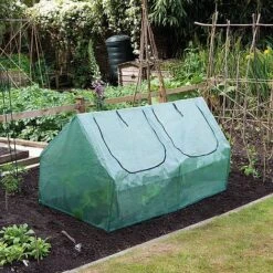 Garden Grow Garden Cloche -Plants Sale G4004 3