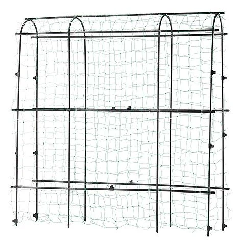 Garden Gear Pea & Bean Tunnel 1.8 X 1.8m 6 Garden Gear Pea & Bean Tunnel 1.8 X 1.8m - Image 4