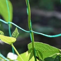Garden Gear Pea & Bean Tunnel 1.8 X 1.8m 9 Garden Gear Pea & Bean Tunnel 1.8 X 1.8m -Plants Sale G4460 PEATUNNEL 3
