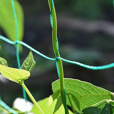 Garden Gear Pea & Bean Tunnel 1.8 X 1.8m 5 Garden Gear Pea & Bean Tunnel 1.8 X 1.8m - Image 3