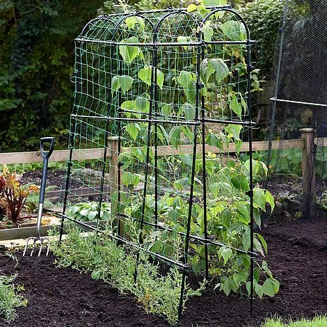 Garden Gear Pea & Bean Tunnel 1.8 X 1.8m 4 Garden Gear Pea & Bean Tunnel 1.8 X 1.8m - Image 2