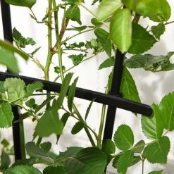 Garden Gear 1.2-Metre Fan Trellis -Plants Sale G447320TREL FANGARDEN203202000x2000