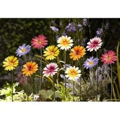 Garden Gear Metal Daisy Stake Set Of Six -Plants Sale G451620G451720METAL20DAISY20FLOWER20MULTI20GROUP201