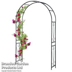 Garden Gear 2.2M Metal Garden Arch -Plants Sale GARD ARCHSWIRL T47919