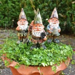 3 Garden Gnome On Sticks Garden Ornaments Pot Gnome Decorations -Plants Sale GB019M 6