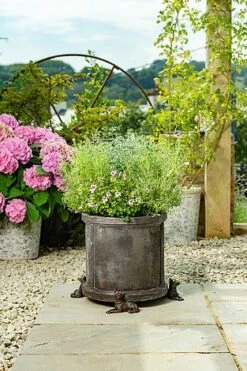 Antique Bronze Coloured German Shepherd Potty Feet - Plant Pot Feet -Plants Sale GERMAN20SHEPHERD20 20LIFESTYLE20220 20PF0067