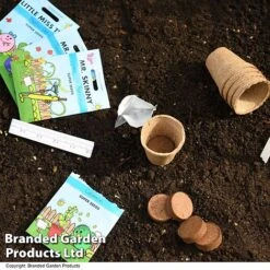 Mr Men Seed Grow Vegetable Kit -Plants Sale GKIT MRMEN T49099