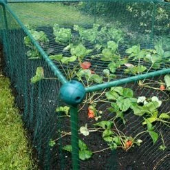 Build-a-Cage Modular Fruit & Vegetable Cage Kit - 0.625m High With Bird Mesh -Plants Sale GLD 0.625PIC1