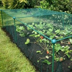 Build-a-Cage Modular Fruit & Vegetable Cage Kit - 0.625m High With Bird Mesh -Plants Sale GLD 0.625PIC2