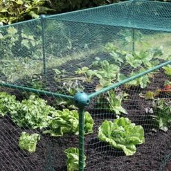Build-a-Cage Modular Fruit & Vegetable Cage Kit - 0.625m High With Bird Mesh -Plants Sale GLD 0.625PIC5 1