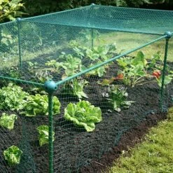 Build-a-Cage Modular Fruit & Vegetable Cage Kit - 0.625m High With Butterfly Mesh -Plants Sale GLD 0.625PIC6