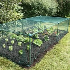 Build-a-Cage Modular Fruit & Vegetable Cage Kit - 0.625m High With Bird Mesh -Plants Sale GLD 0.625PIC7 1