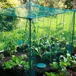 Build-a-Cage Modular Fruit & Vegetable Cage Kit - 1.25m High With Butterfly Mesh -Plants Sale GLD 1.25PIC2