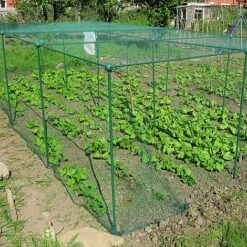 Build-a-Cage Modular Fruit & Vegetable Cage Kit - 1.25m High With Bird Mesh -Plants Sale GLD 1.25PIC3 1