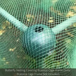 Soft Butterfly Mesh Netting For Cabbages Brassicas & Plants - 6m Wide -Plants Sale GLD20BUILD20A20CAGE20PIC20100020x100020850kb1