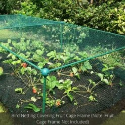 Bird Block Soft Bird Mesh Netting For Fruit Veg & Plants - 8m Wide -Plants Sale GLD20Build20a20Cage201000x100020840kb1