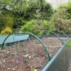 Garden Cloche Hoops For Netting Plant Protection & Support (0.85 W X 0.35m H) 2 Garden Cloche Hoops For Netting Plant Protection & Support (0.85 W X 0.35m H) -Plants Sale GPH20 20GARDEN20HOOPS201000X100020986KB