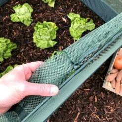 Pop Up Strawberry & Salad Fruit Cage Plant Cover -Plants Sale GPN100 02PIC3