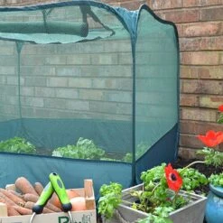 Pop Up Strawberry & Salad Fruit Cage Plant Cover -Plants Sale GPN100 02PIC5