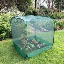 Pop Up Fruit Cage & Brassica Grow-House - 1.35m High -Plants Sale GPN100 042020125 04201000x100020877kb