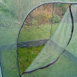 Pop Up Cabbage & Brassica Vegetable Cage Plant Cover -Plants Sale GPN100 05PIC2