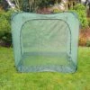 Pop Up Cabbage & Brassica Vegetable Cage Plant Cover 1 Pop Up Cabbage & Brassica Vegetable Cage Plant Cover -Plants Sale GPN100 05PIC3
