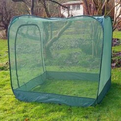 Pop Up Cabbage & Brassica Vegetable Cage Plant Cover -Plants Sale GPN100 05PIC5
