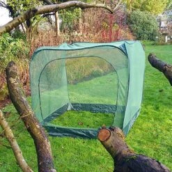 Pop Up Cabbage & Brassica Vegetable Cage Plant Cover -Plants Sale GPN100 05PIC7