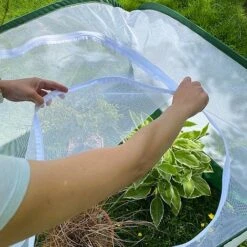 Pop Up Insect Net Fruit Cage & Vegetable Protection Cover -Plants Sale GPN100 092020125 09201000X100020773KB