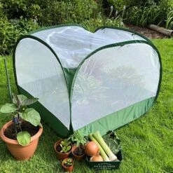 Pop Up Insect Net Fruit Cage & Vegetable Protection Cover -Plants Sale GPN100 092020125 09201000X100020847KB