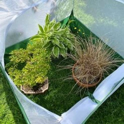 Pop Up Insect Net Fruit Cage & Vegetable Protection Cover -Plants Sale GPN100 092020125 09201000X100020907KB