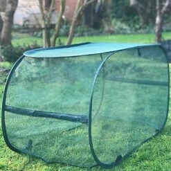 Pop Up Protection Cover For Grow Bags 12 Pop Up Protection Cover For Grow Bags -Plants Sale GPN100 10PIC1