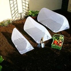 Pop Up Mini Insect Mesh Grow Tunnel & Veg Bed Cover -Plants Sale GPN100 31PIC6