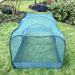 Giant Pop Up Fruit Cage & Plant Protection Cover 10 Giant Pop Up Fruit Cage & Plant Protection Cover -Plants Sale GPN100 50PIC1