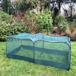 Giant Pop Up Fruit Cage & Plant Protection Cover 12 Giant Pop Up Fruit Cage & Plant Protection Cover -Plants Sale GPN100 50PIC4