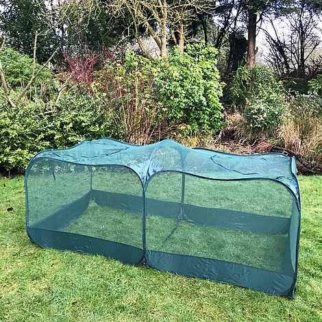 Giant Pop Up Fruit Cage & Plant Protection Cover 7 Giant Pop Up Fruit Cage & Plant Protection Cover - Image 5