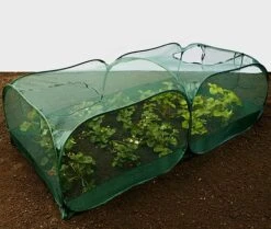 Giant Pop Up Fruit Cage & Plant Protection Cover 13 Giant Pop Up Fruit Cage & Plant Protection Cover -Plants Sale GPN100 50PIC6