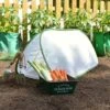 Pop Up Mini Insect Mesh Grow Tunnel & Veg Bed Cover -Plants Sale GPN20INSECT20NET20TRIANGLE20CLOCHE201000X1000201.1MB