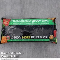 Grow Your Own Strawberry Collection -Plants Sale GROW INCREDICR T07675