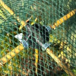 Bamboo Cane & Plant Stick Connector Balls - Pk 8 12 Bamboo Cane & Plant Stick Connector Balls - Pk 8 -Plants Sale GSK2025PIC2