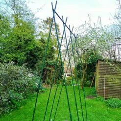 Easy Grow Runner Bean Frame & Climbing Plant Support Trellis - 0.75 X 1.2 X 2.4m H -Plants Sale GSK2156PIC4