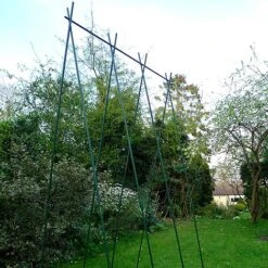 Easy Grow Runner Bean Frame & Climbing Plant Support Trellis - 0.75 X 1.2 X 2.4m H -Plants Sale GSK2156PIC5